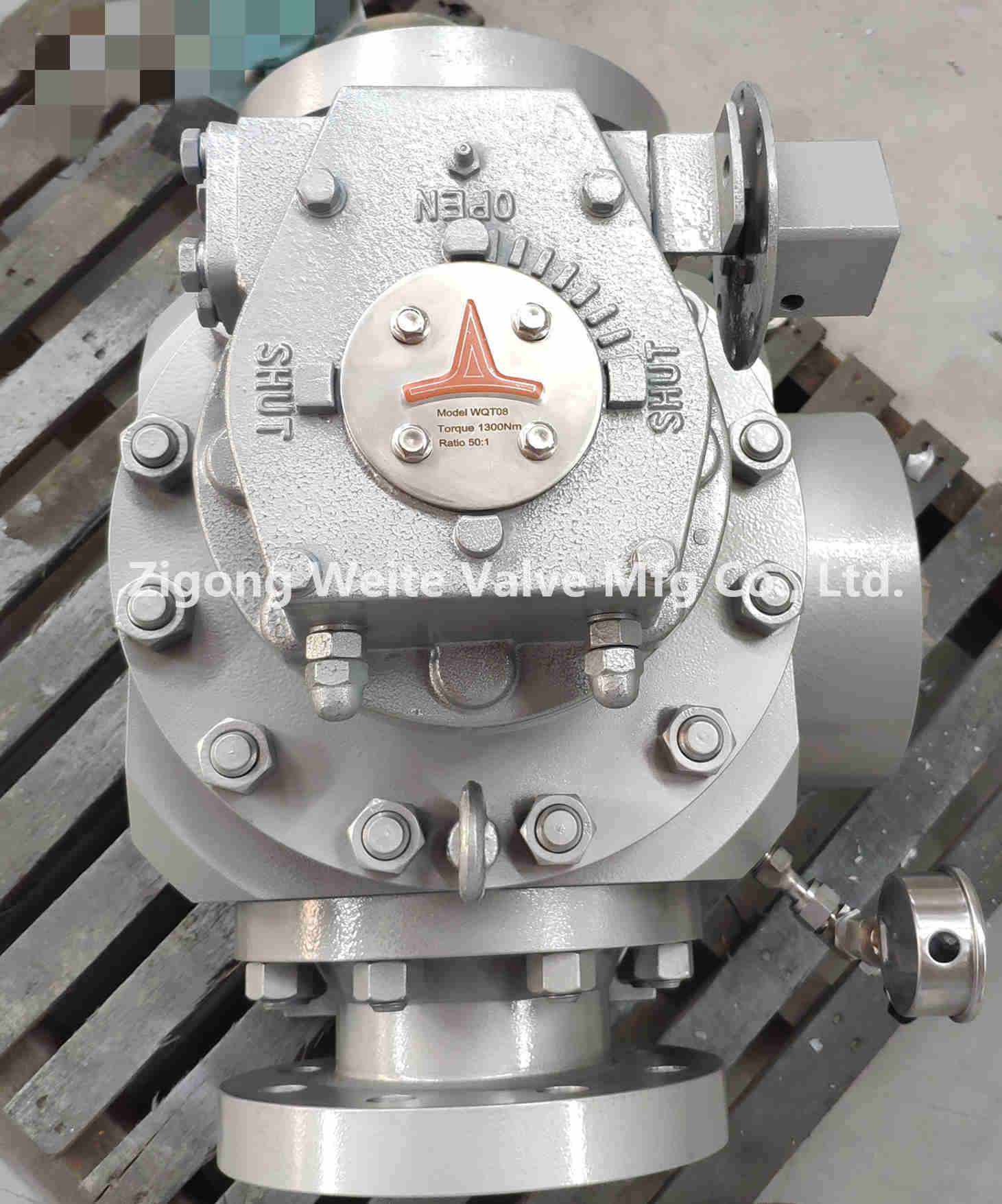 DEVLON Seat Pigging Ball Valve Top Entry Easy Open And Close Port Cover