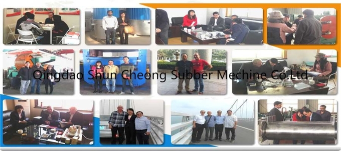 Two Host's Rubber Plate Vulcanizing Machine/Duplex Curing Press