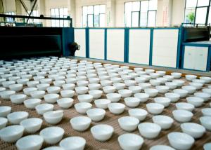 China Heat Resistant Opal Glass Plate 12 Inch Glass Processing Plant wholesale
