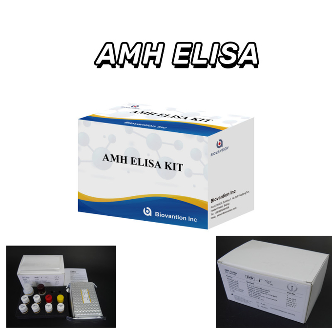 Anti-Mullerian Hormone AMH immunoenzymatic assay Elisa AMH test kit