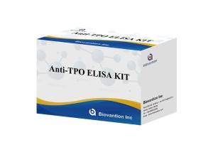China Anti Thyroid Peroxidase Elisa Test Kit Anti TPO Antibody Test Kits wholesale