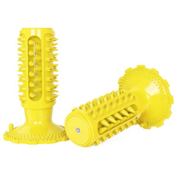 Professional Manufacturer Supply Classical Tpr Dog Squeaky Sounding Toothbrush