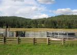 Hot Dipped Galvanised 40x80mm Corral Panel Fence For Horse
