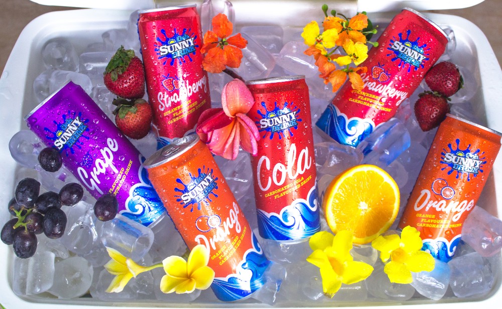 Beverage Solutions Aluminum Soft Drink Cans 12oz sleek Custom Printing OEM