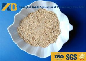 China Low Sugar Content Rice Protein Powder , Healthy Protein Additive For Diet Cattle wholesale
