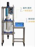 Small Ultrasonic Homogeniser , Ultrasonic Sonochemistry System For Herbal