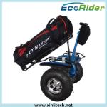 2000W Electric Golf Scooter 2 Wheel Lithium Battery Waterproof Rubber Ring