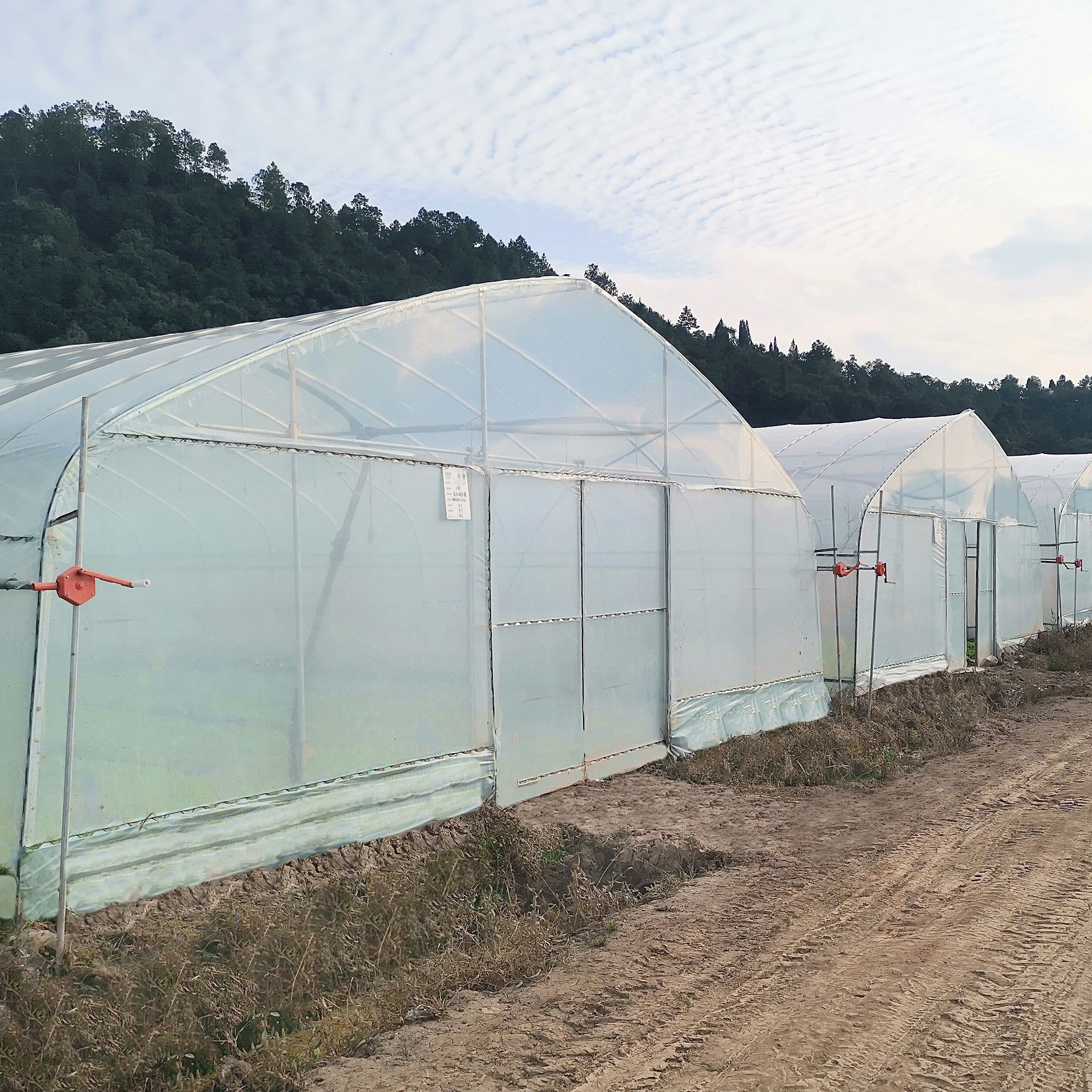 Hot Galvanized Steel Frame Tropical Fruit Grow Greenhouse Commercial Greenhouses For Sale