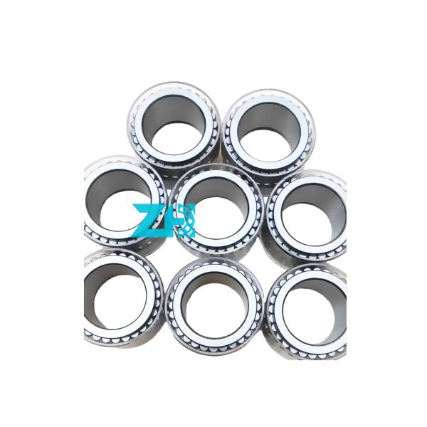 High Precision Cylindrical Roller Bearing F-229575 Hydraulic Pump Bearing