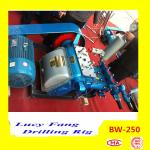 China Hot Powerful Cheapest BW-250 Mud Pump