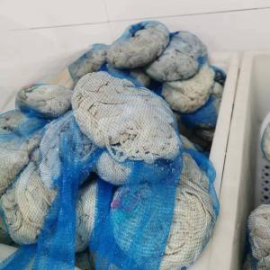 China Premium Breathable Goat Casings Uniform Thickness Good Firmness wholesale