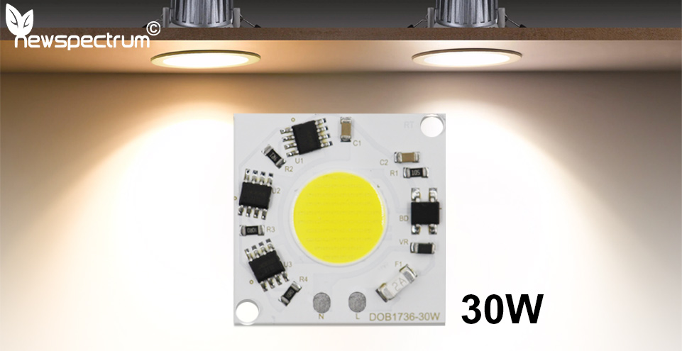 Light Emitting Surface Chip Cob Led High Power 20w 30w For Spot Light