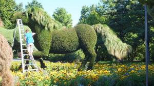 China HAIHONG Beautiful Plants And Flowers Topiary Sculpture Fashionable wholesale