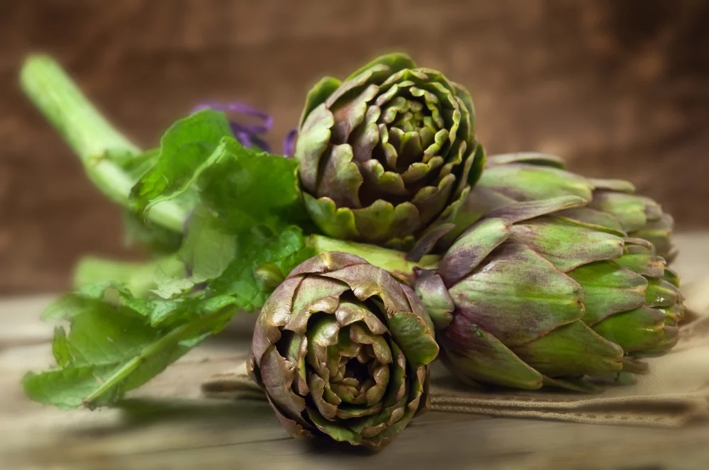 100% natural Herb Artichoke Extract 5% Cynarin powder