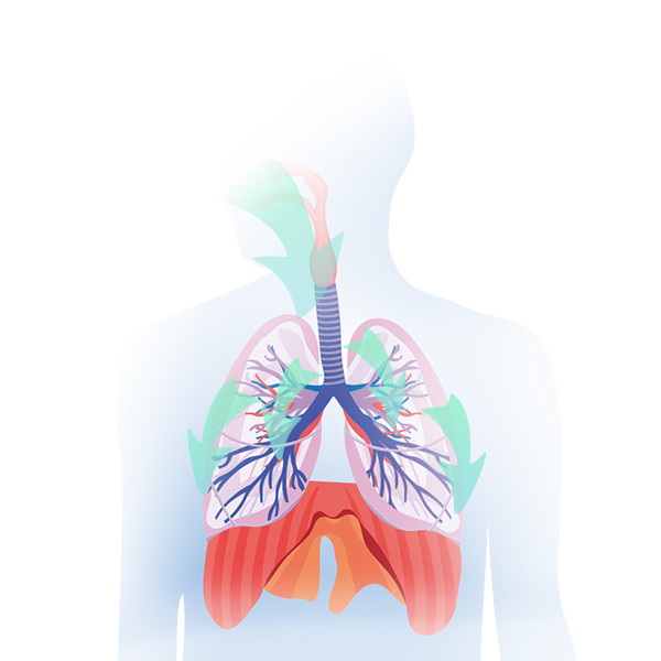 Yirdoc Vibrating Mesh Technology Nebulizer With Lower Airways