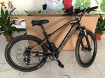 Electric Hardtail Mountain Bike Mtb 27.5" 36v 250w 9.6Ah Rich Bit Top 800