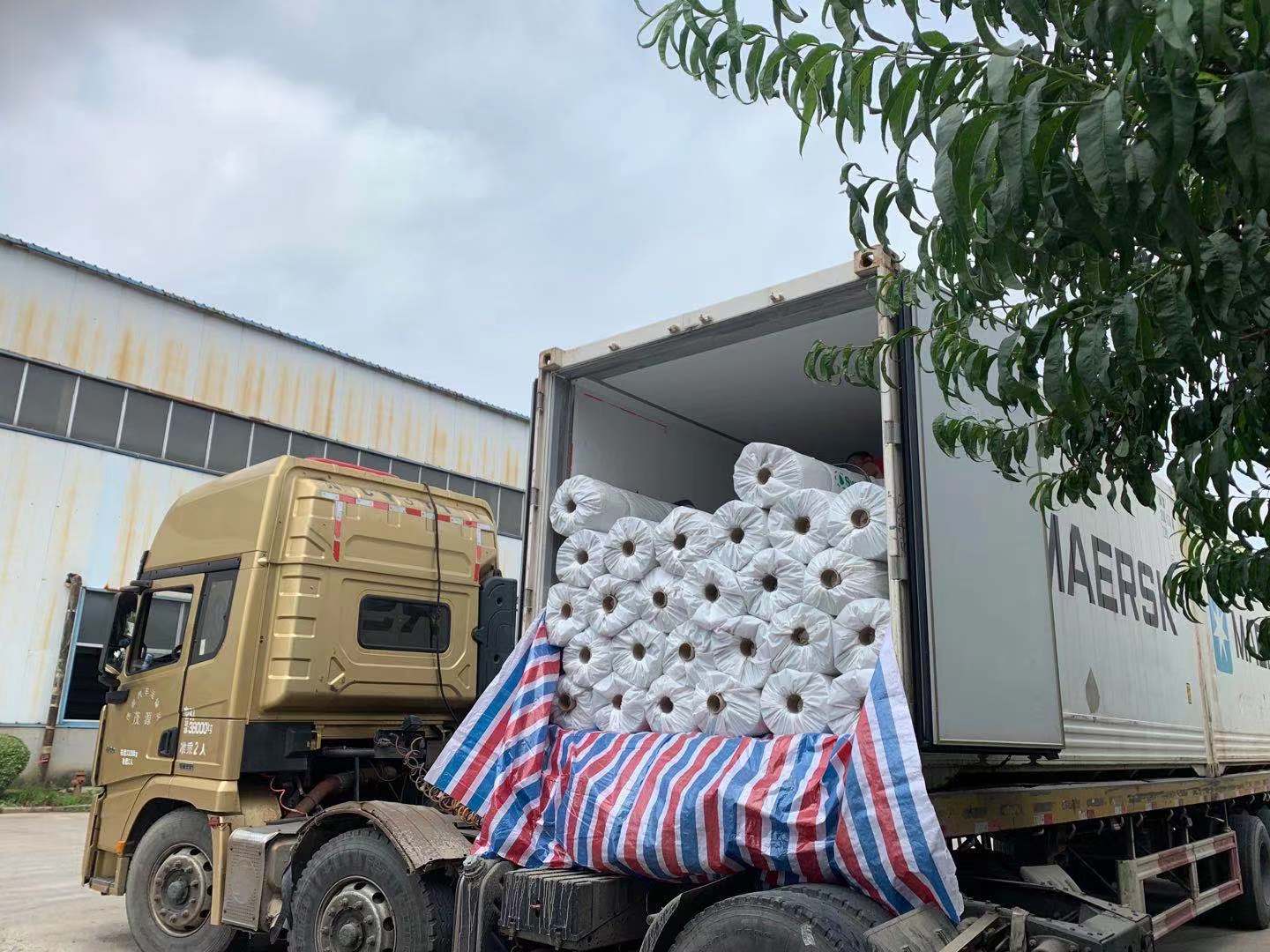 3500g-6500g Geosynthetics Bentonite Geotextile Coated HDPE Geomembrane for Waterproofing
