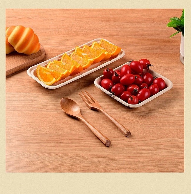 Eco Sustainable Vegetable Party Biodegradable Trays For Food Sugarcane Bagasse Pulp