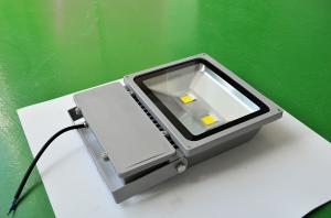 China Bridgelux led chip outdoor aluminum housing LED Flood Light wholesale