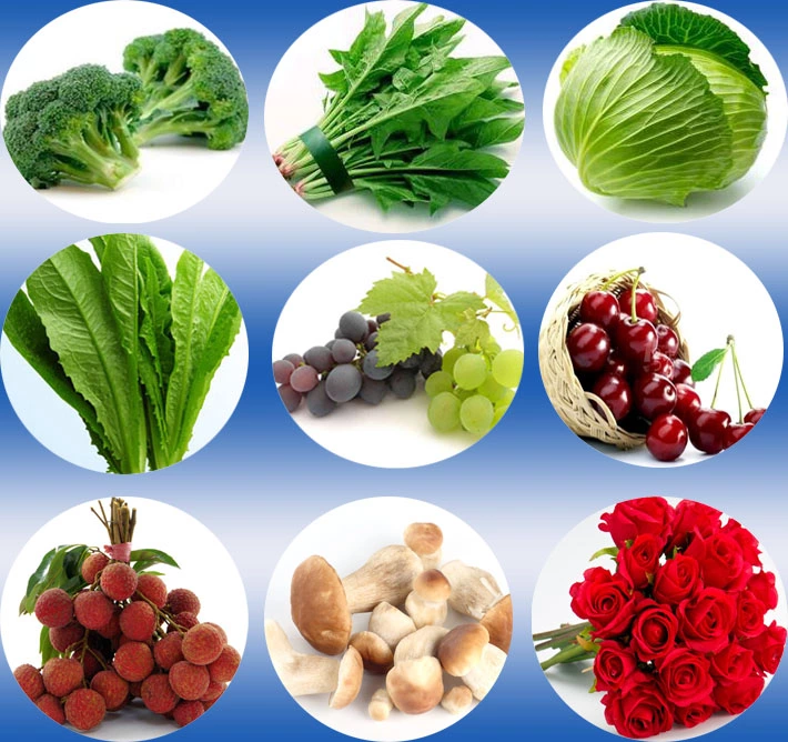 CE Certificate Fresh Flowers/ Herbs Vacuum Cooler for Airline