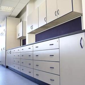 China 100KG Laboratory Wall Bench Waterproof Commercial Lab Furniture wholesale