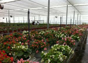 China 8m*4m Dimenison Garden Glass Greenhouse Easily Assembled Highly Durable wholesale