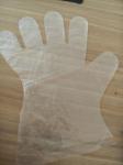 Polyethylene Clear Food Service Gloves , Disposable Food Preparation Gloves