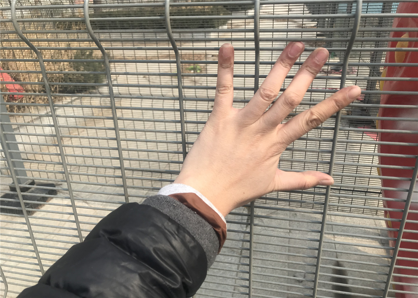 358 Anti Climb High Security Fence for Prison /Airport /Military