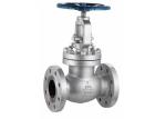 API600 Oil Gas Valve WCB Stainless Steel Globe Valve With 150lbs 300lbs