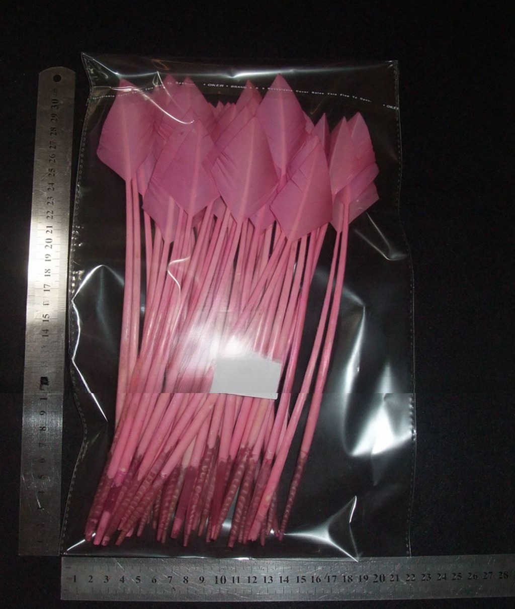 Dyed Arrow Head Striped Turkey Feather Quill with Silk Screen Printing