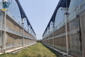 China Galvanized Steel Frame PE Film Greenhouse Agriculture Multi Span Tunnel Greenhouse wholesale