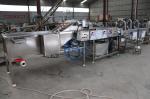 High Pressure Spray Vegetable Washing Machine For Lifting Spray Cleaner carrot