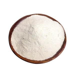 China Garlic Seasoning Powder Transform Ordinary Products into Extraordinary Ones wholesale