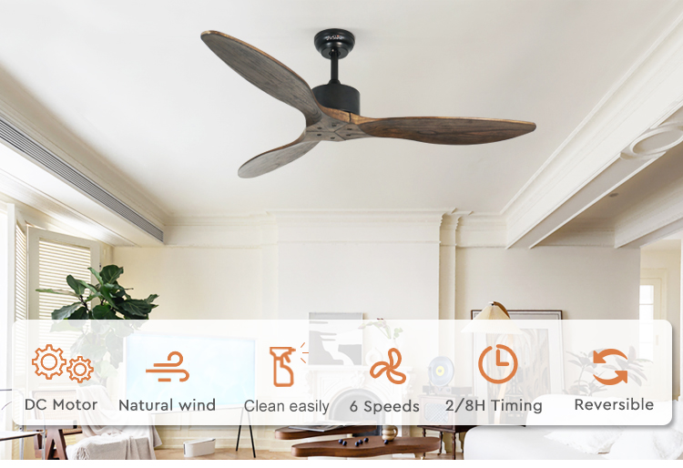 ceiling fan