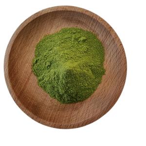 China Moisture 3% Ascophyllum Nodosum Extract Seaweed Polysaccharides 40% Green Powder wholesale