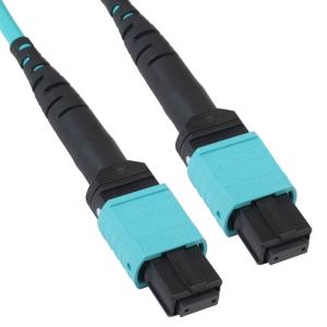 China Telecommunication MPO MTP Fiber Optic Connector Molded MT Ferrule wholesale