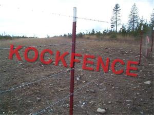 China Customized Steel Star Picket , Hot Dipped Galvanized Y Fence Post wholesale