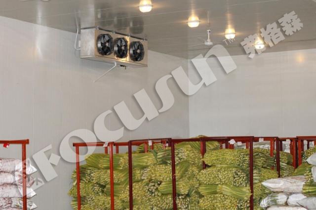 Colorbond Painted Steel Cold Room for Vegetable/Ice/Fish/Meat Storage Equipment