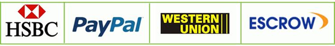 Transflecitve Positive Monochrome LCD Display 300cd/M2 6 O'Clock