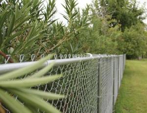 China 1mx30m 50mmx50mm 2.5mm Galvanized Chain Link Fence wholesale