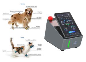China CE Veterinary Laser Therapy Machine Painless Class Four 810nm wholesale