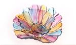 glass Plate