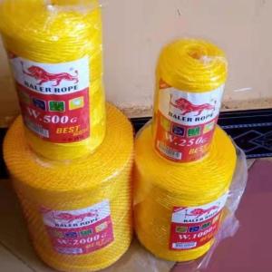 China Yellow Color 2mm Pp Baler Twine 2MMx1000G 20PCS/PE Bag wholesale