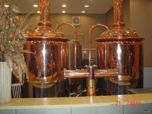 China 500L Mini Micro Brewery Equipment Turnkey Brewing System CE Certification wholesale