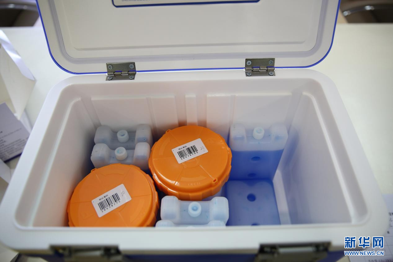 UN2814 Insulated Plastic Cooler Case For Ice And Biomedical Storage