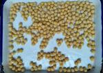 Salty Flavor Canned Garbanzo Beans With No Impurity