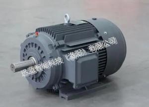 China Custom Torque AC Dynamometer For Electric Auto wholesale