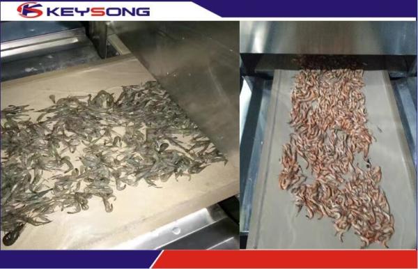 Seafood Microwave Drying Machine High Efficiency , Industrial Microwave Drying