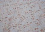 Ivory Cotton Nylon Lace Anti-Static Fabric For Dresses OEM / ODM CY-LW0707