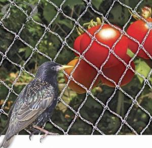 China PE Woven Anti Bird Net , Bird Proof Netting 100% New HDPE Material wholesale